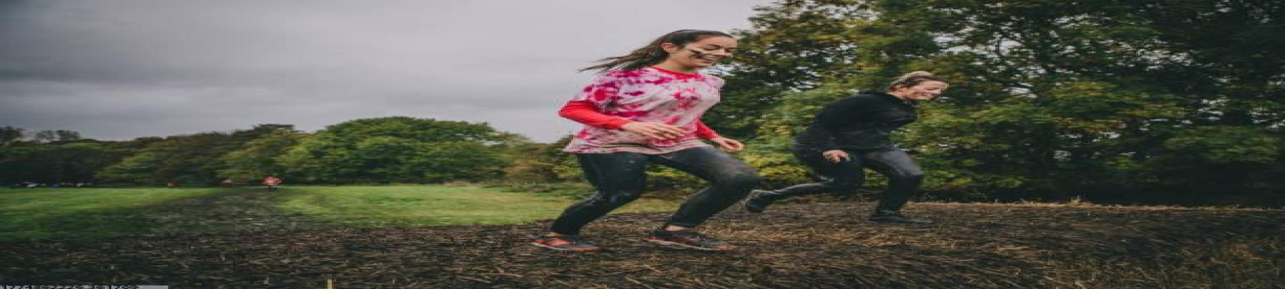 世界杯赛事分析平台简介